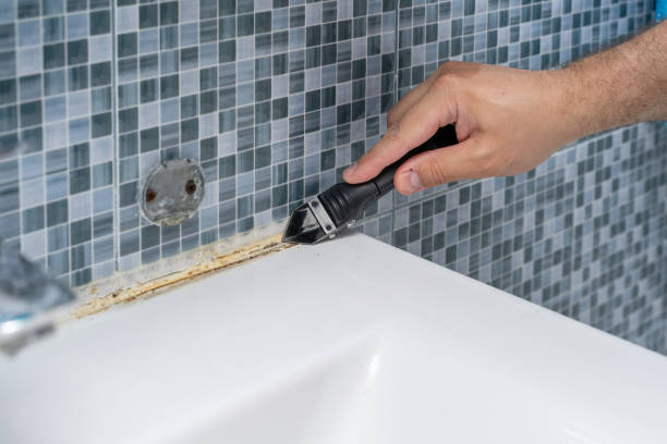 Best White Mold Remediation in Raytown, MO