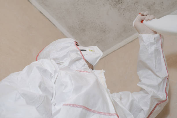 Professional Mold Remediation in Raytown, MO